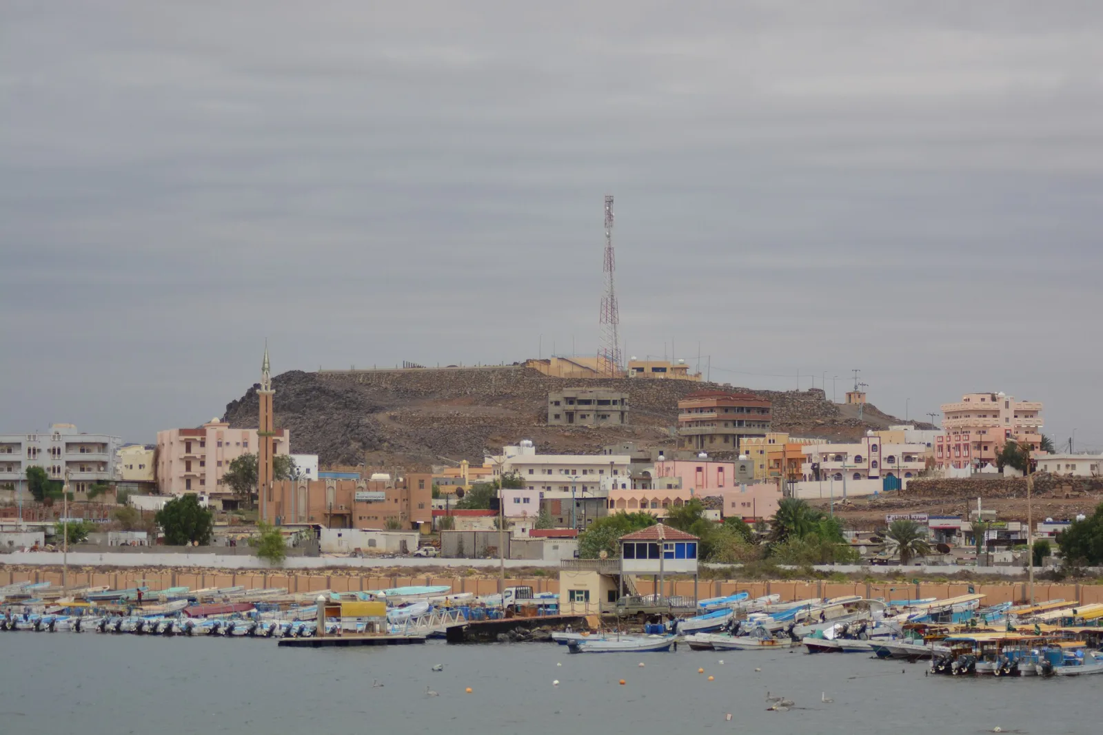 مرسى البرك